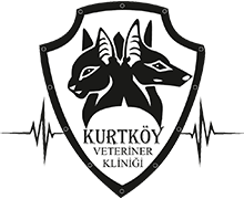 biVet